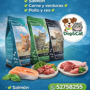 🐶🐱PIENSOS IMPORTADOS PARA PERROS Y GATOS🐶🐱 [MUCHÍSIMAS MARCAS TODOS LOS SABORES]🐾TIENDA DE MASCOTAS [🐶 DOG&CAT 🐱] - Img 112755037