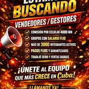 Busco gestores de venta - Img 55501160