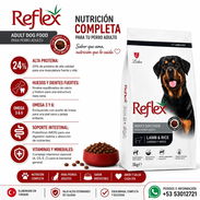 Pienso Reflex - Img 57137652