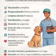🚨🐱🩺¡VETERINARIO A DOMICILIO!🐶🐾🚨 - Img 55787304