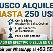 BUSCO RENTA HASTA 250 - Img 55431630