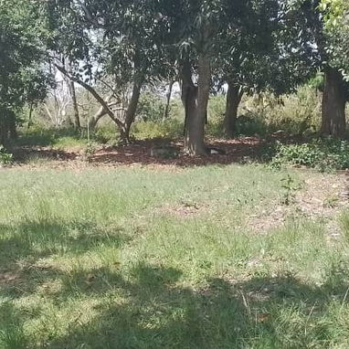 Solo Habana en marianao por la universidad de la cujae Se vende una propiedad con papeles en orden para hacer trámite - Img 123398717