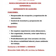 oferta de empleo (encargado de almacén) - Img 56614459