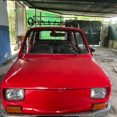 Vendo Polaco,papeles en Regla - 2/7