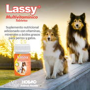 Multivitaminico Tabletas - Img 53991020