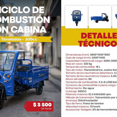 TRICICLOS ELÉCTRICOS Y DE COMBUSTIÓN– Pasajeros y Carga - 2/3