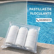 ⚪️FLOCULANTE CONCENTRADO PARA PISCINA - Img 53331929