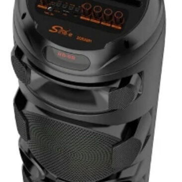 BOCINA GRANDE CON MICROFONO Y MANDO ZQS-2801 - 2/4