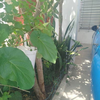 Venta de casa - 3/5