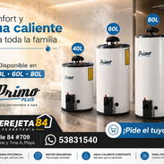 Calentador a Gas Primo Plus 40/60/80 - Img 55598017