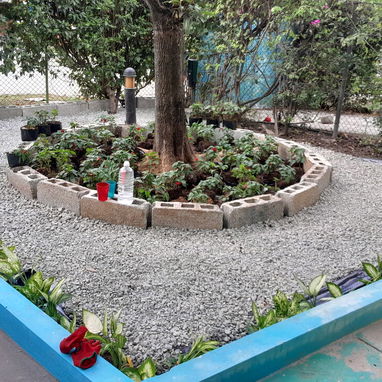 servicios de Jardinería y Limpieza de exteriores - Img 118921050