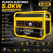 Plantas - Img 57888455