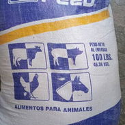 Vendo piensos para cerdos y gallinas ponedoras - Img 57193832
