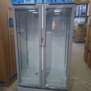 EXHIBIDORA / MILEXUS / DOBLE PUERTA / 20 PIES / NUEVO / CON GARANTIA / - Img 55085012