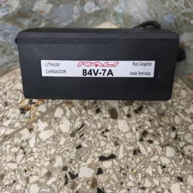 Cargador para moto electrica y triciclo - 2/2