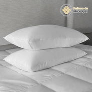 Almohada - Img 57399366