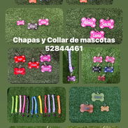 Chapas y collar de mascotas y otros artículos personalizados - Img 51039602
