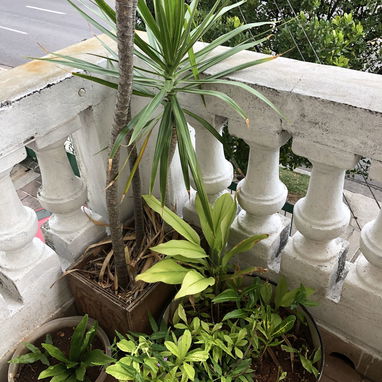 Renta lineal de apartamento en el Vedado cerca de hospitales - Img 112111431