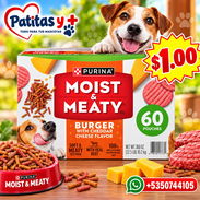 Burguer con Queso para Perro - Img 58260218