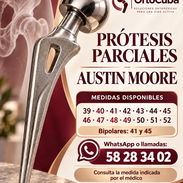 Prótesis Parciales #39,40,41,42,43,44,45,46,47,48,41,42,43,44,45,50 - Img 57686036