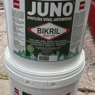 Pintura original para su hogar o negocio - Img 121469781