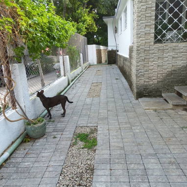 Propiedad en venta ubicada en Nuevo vedado 馃搷 Referencia: a 3 cuadras del hotel Tulip谩n - Img 118807516