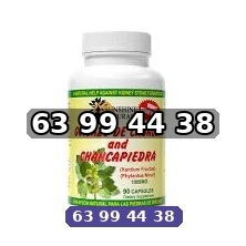 Chanca Piedra con Guisazo de Caballo, Hierba Tradicional Rompe Piedras, Suplemento de Apoyo para el Riñón y el Tracto - 2/3