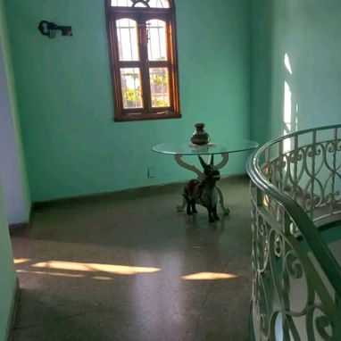 *🏠 OPORTUNIDAD ÚNICA - CASA INDEPENDIENTE EN PLAYA, RTO KOHLY 🏡 - 6/8