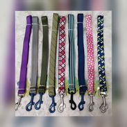 Correas para perros medianos - Img 57376473