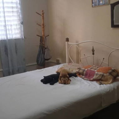 Vendo apartamento en Altahabana - Img 124658645