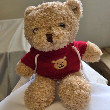 Capibara y osito de peluche - Img 124365471