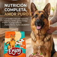 Pienso para perros adultos paquetes de 3 kg - Img 56348953
