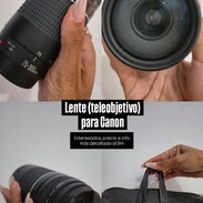 Lente - Img 55466985