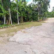 Venta de casa en Cotorro - Img 57537185
