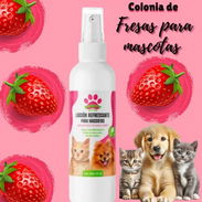 Colonias y Perfumes para Mascotas - Img 54644359