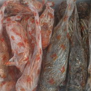 Vendo langosta entera a 1000 cup la libra,de calidad,crudas y precocinadas.Llame ya.52421590 - Img 57715686