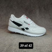 Oferta única. - Img 58239129