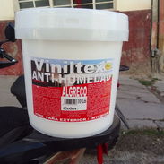 Vinil marca VINILTEX de 10 litros - Img 54675874