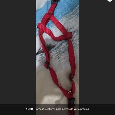 Arneses y collares para perros - Img 121201212