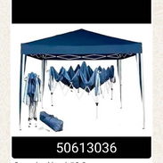Carpa - Img 55539468