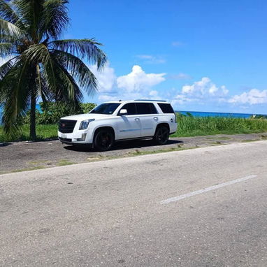 Cadillac Scalade Platinum 2020 - 7/8