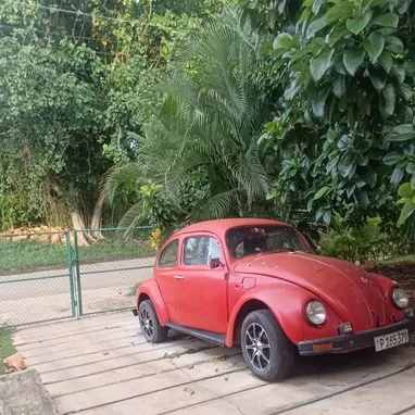 Vw 1600 - 3/3