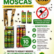 Cintas atrapamoscas - Img 55536283