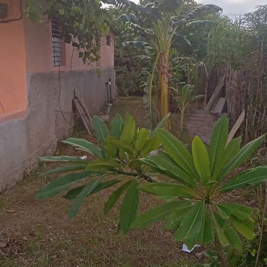 ✅️ CASA EN VENTA, CALLE SOL /8 Y 9 NORTE 🏠 (CASA DE PIEDRA) - 9/9
