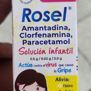 Rosel antigripal solución infantil 60ml (Amantadina Clorfenamina Paracetamol) - Img 55333736