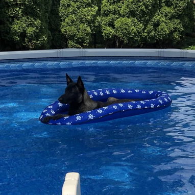 Flotador /piscina para perros, flotadores inflables para perros, flotadores de piscina para perros, flotadores de piscin - Img 87833618