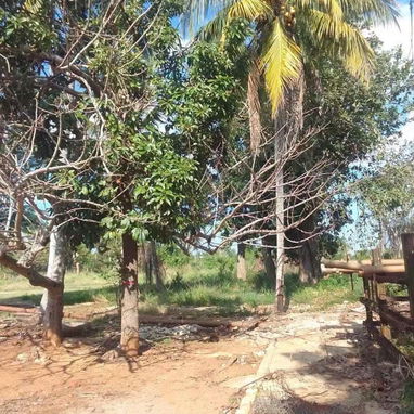 Finca en Venta - 10/10