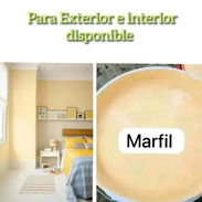 Pintura vinil color marfil interior - Img 55517749
