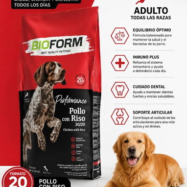 PIENSOS PARA PERROS DE LA MEJOR CALIDAD MENSAJERÍA GRATIS DEPENDIENDO EL LUGAR - Img 122369467