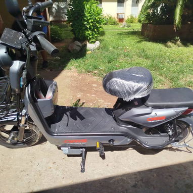 MOTICO ORIS - 2/3